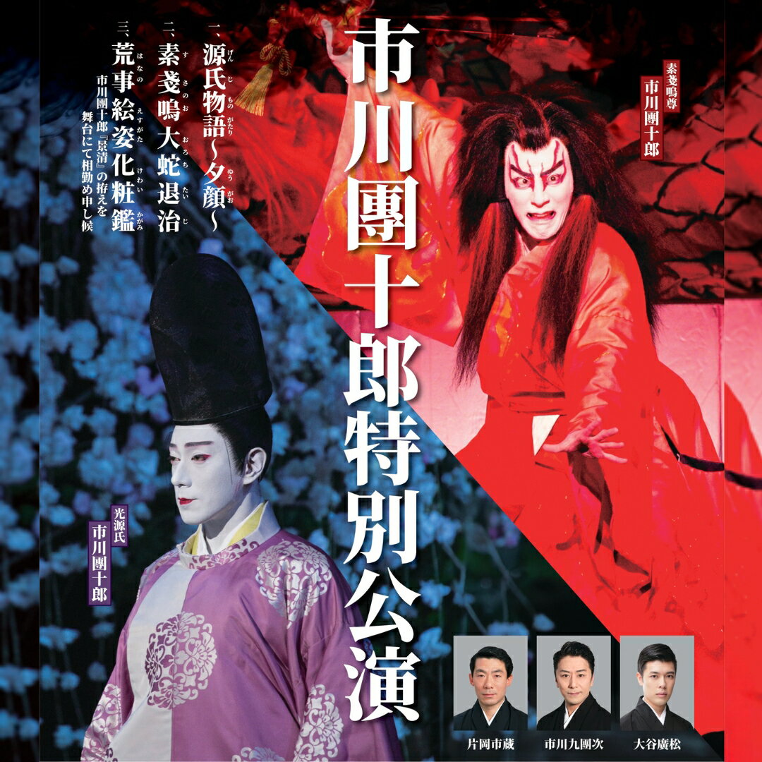 市川團十郎特別公演 小松公演 歌舞伎 チケット [2026年2月28日(土)] 昼の部(12時開演)/ 夜の部(15時30分開演) 石川県 小松市 011085