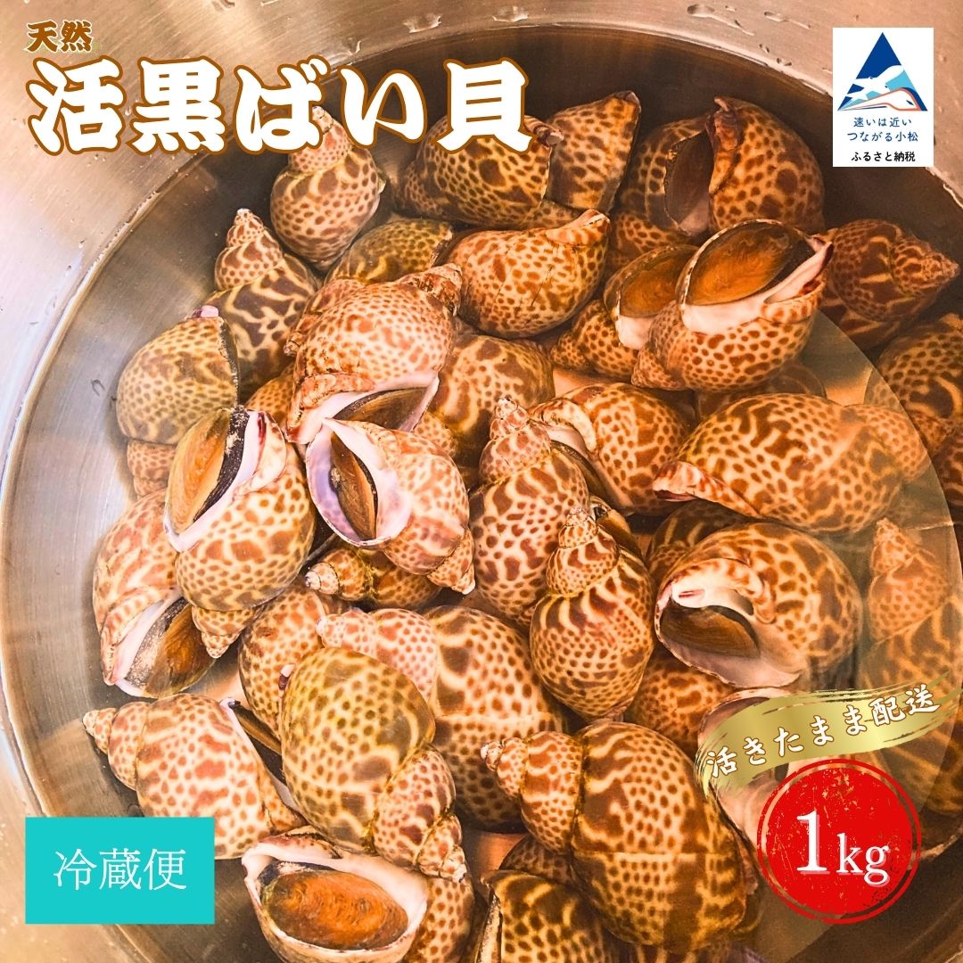 ڤդ뤵Ǽǡ Ф1kg   012076ȶƱȹ羮ٽ