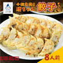 【ふるさと納税】 餃子菜館 勝ちゃん 餃子 ( 8人前 ) ぎょうざ ごはんのお供 おかず グルメ お取り寄せ 人気 ランキング おすすめ お中元 お歳暮 ギフ...