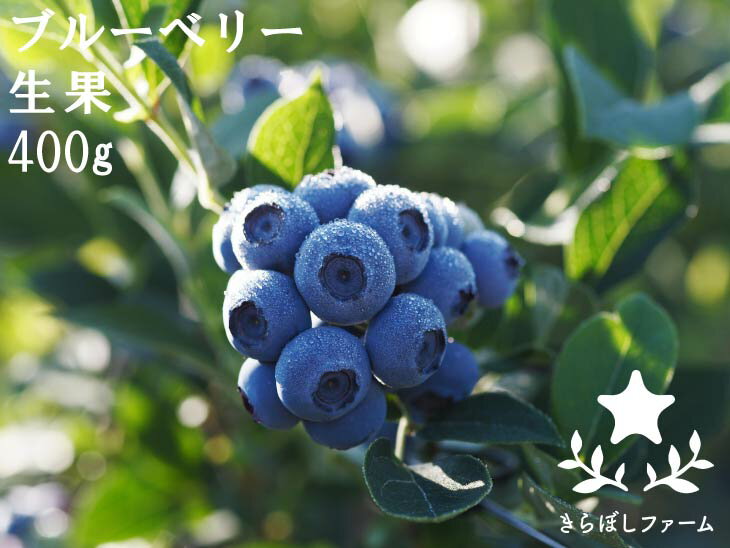 【ふるさと納税】 小松産ブルーベリー 《 きらぼしべりぃ 》 生果 400g ブルーベリー フルーツ 甘い グルメ お取り寄せ 人気 ランキング おすすめ お中元 お歳暮 ギフト 小松市 こまつ 石川県 ふるさと 故郷 納税 013021【きらぼしファーム】
