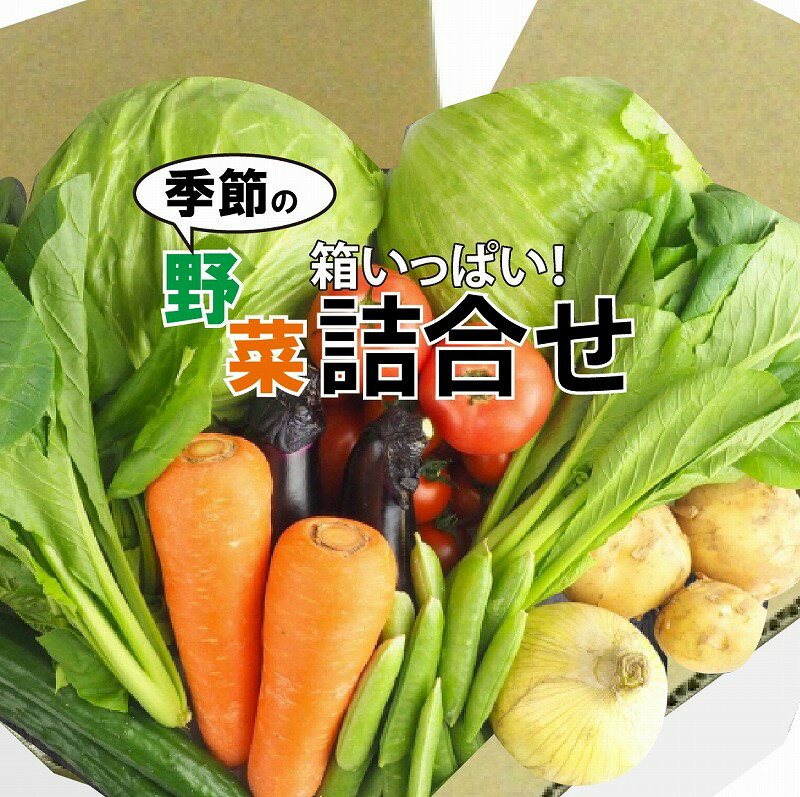 【ふるさと納税】010012. 季節の野菜詰合せ 