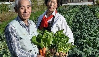 【ふるさと納税】030071. 季節の有機野菜詰合せ 3ヶ月定期便