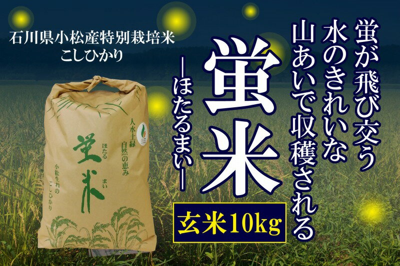  令和5年産 《特別栽培米 コシヒカリ》 蛍米玄米10kg 特栽米 玄米 10kg 米 コメ お米 10キロ 10KG 10 グルメ お取り寄せ 人気 ランキング おすすめ お中元 お歳暮 ギフト 小松市 こまつ 石川県 ふるさと 故郷 納税 013024