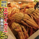 【ふるさと納税】030041. 石川産 香箱ガニ5杯詰合せ(...
