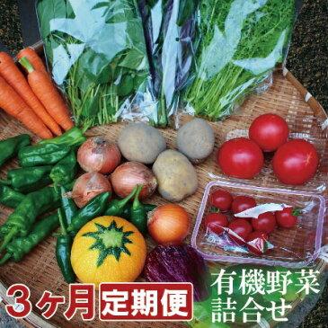 【ふるさと納税】030071. 季節の有機野菜詰合せ 3ヶ月定期便