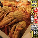 【ふるさと納税】030072. 【訳あり】石川産 香箱ガニ1...