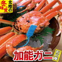 【ふるさと納税】M32. 石川産 加能ガニ(1杯)...