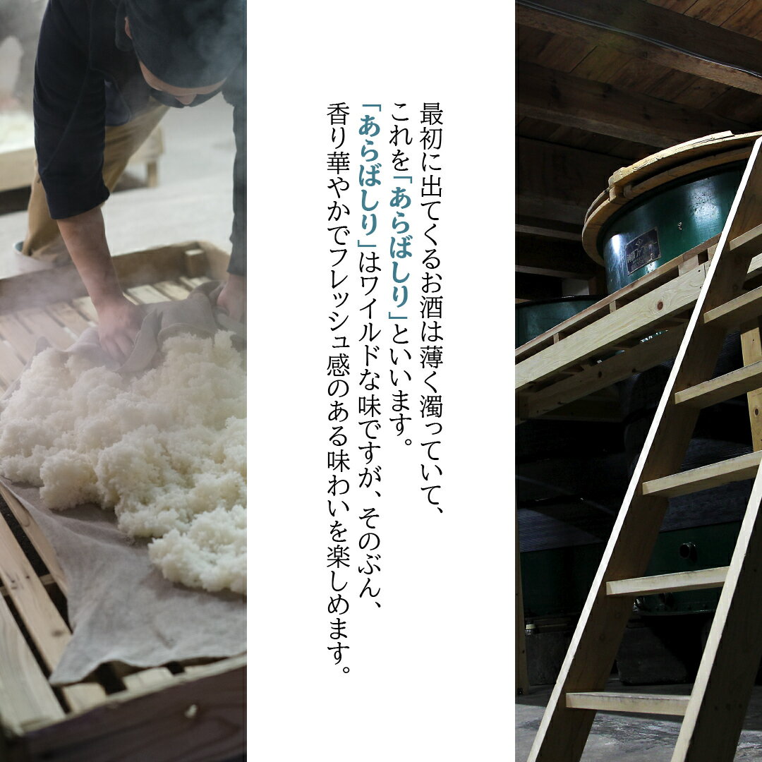 【ふるさと納税】 神泉 あらばしり吟醸 日本酒 吟醸酒 辛口【東酒造】 006030