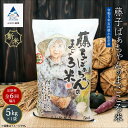 【ふるさと納税】《 定期便 》 藤子ばぁちゃんのまごころ米 5kg × 6回 ( 隔月 ) 令和5年産 米 コメ お米 県産米 国産米 5キロ 5KG 5 グルメ お取り寄せ 人気 ランキング おすすめ お中元 お歳暮 ギフト 小松市 こまつ 石川県 ふるさと 故郷 納税 072002【ジャパンファーム】