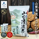 20位! 口コミ数「0件」評価「0」《 定期便 》 山里清流米コシヒカリ 10kg × 12回 ( 毎月 ) 米 コメ お米 県産米 国産米 10キロ 10KG 10 グルメ ･･･ 