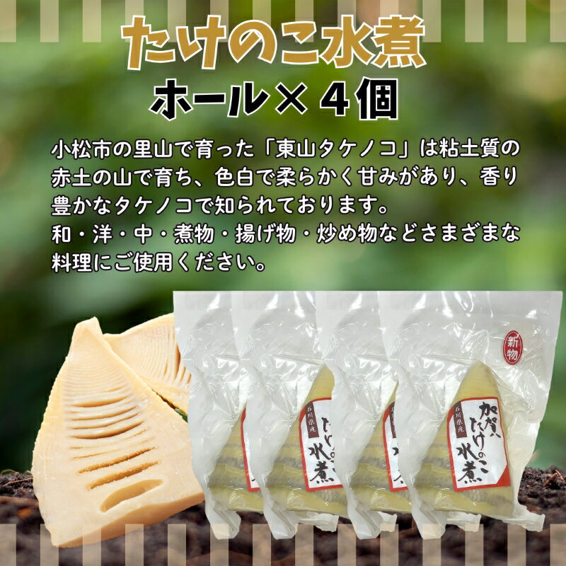 送料無料 日本製粉 REGALO ボロネーゼ 140g×24個