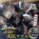 【ふるさと納税】能登輪島 海女採りサザエ（約2kg）