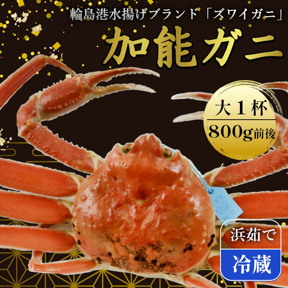 【ふるさと納税】【配達日指定不可】加能ガニ（雄ズワイガニ、浜茹で）（大）【R5.1月下旬以降順次発送】