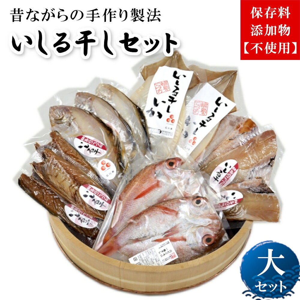 【ふるさと納税】いしる干し（干物、冷凍）セット（大）のサムネイル