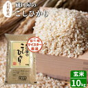 26位! 口コミ数「0件」評価「0」【能登半島地震復興支援】こしひかり 10kg（玄米）