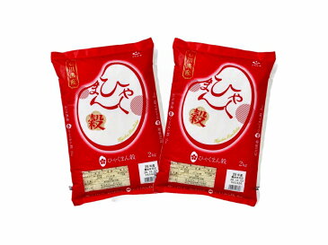 【ふるさと納税】石川県オリジナル米「ひゃくまん穀」2kg×2(精米)