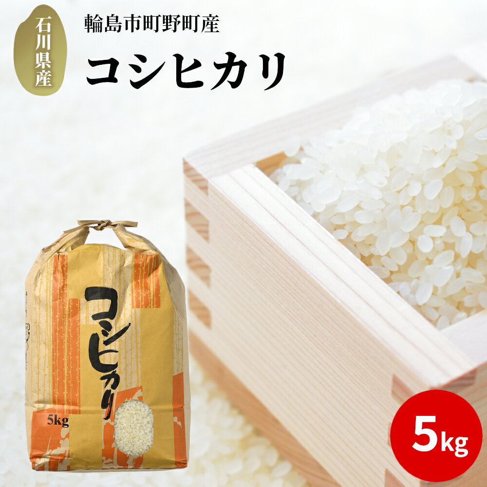 【ふるさと納税】【輪島のお米】町野町産コシヒカリ5kg（精米）のサムネイル