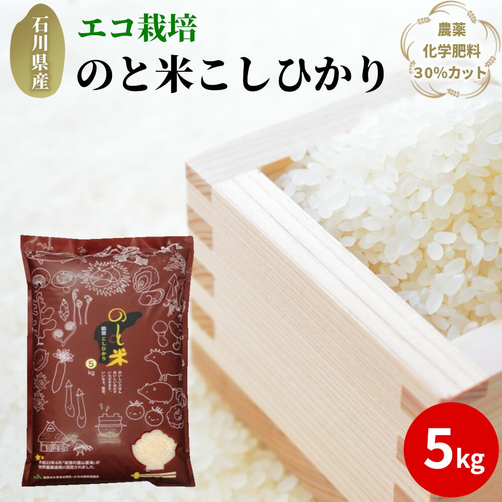【ふるさと納税】のと米（こしひかり）5kg（精米）のサムネイル