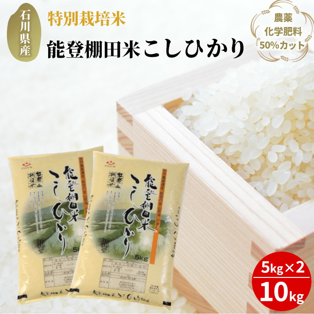【ふるさと納税】能登棚田米（こしひかり）10kg（5kg×2袋、精米）のサムネイル