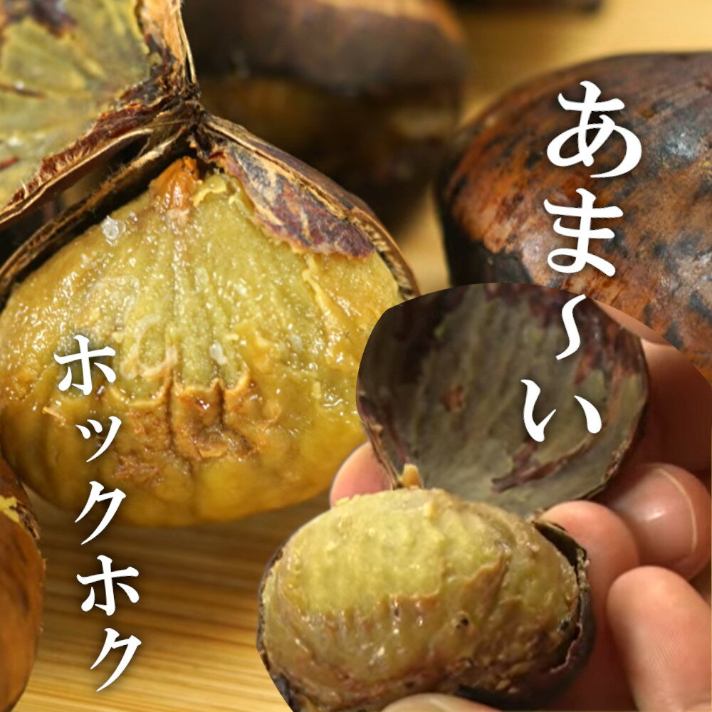 【ふるさと納税】【生産農家直送！】能登の焼き栗プレミアム（1kg）