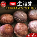 【ふるさと納税】原木生しいたけ(のと115) | 国産 原木 しいたけ 椎茸 シイタケ のと115 野菜 ブランド きのこ キノコ 能登 石川県 輪島市