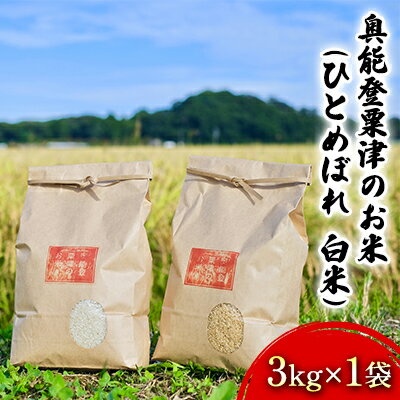 【ふるさと納税】奥能登粟津のお米（ひとめぼれ　白米）3kg×1袋　【石川県産・お米・...