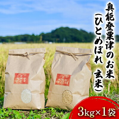 【ふるさと納税】奥能登粟津のお米（ひとめぼれ　玄米）3kg×1袋　【石川県産・コシヒ...