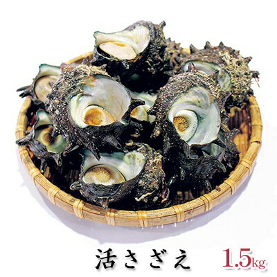 【ふるさと納税】活さざえ 1.5kg　【魚貝類・サザエ】　お届け：配送期間：9月～11月のサムネイル