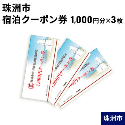 【ふるさと納税】珠洲市宿泊クーポン券（1，000円分×3枚）　【チケット・ホテル・宿泊券・旅行・宿泊券】のサムネイル