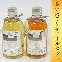 【ふるさと納税】さいはてリキュールセット 焼酎 麦 お酒 洋酒 リキュール類 梅