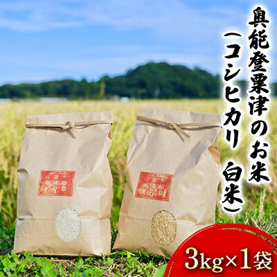 【ふるさと納税】奥能登粟津のお米（コシヒカリ　白米）3kg×1袋　【石川県産・お米・...