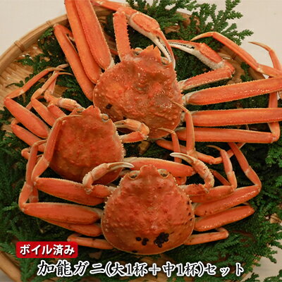 【ふるさと納税】【ボイル済み】加能ガニ(大1杯+中1杯)セット【ずわい蟹・ずわいガニ・ズワイガニ・蟹・香箱ガニ】お届け:11月解禁日以降12月下旬までを予定