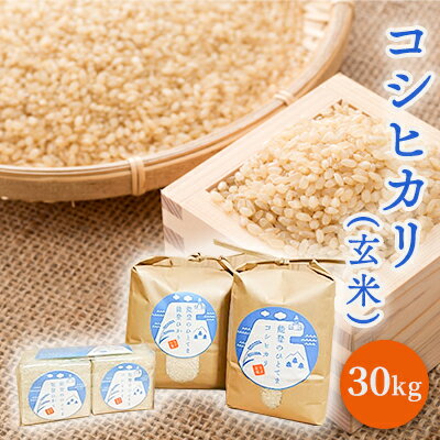 [令和5年度産米]コシヒカリ(玄米)30kg [ お米 ご飯 ライス ブランド米 銘柄米 おにぎり お弁当 和食 主食 国産 炭水化物 直送 産地直送 ] お届け:2024年5月以降、準備出来次第出荷