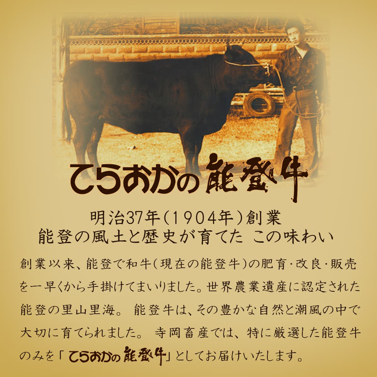 【ふるさと納税】能登牛（4～5等級）ロースすき焼き用300g 牛肉 牛　お届け：2026年1月15日より順次出荷 f172057-suzu-10000325 石川県珠洲市 サンプル画像2