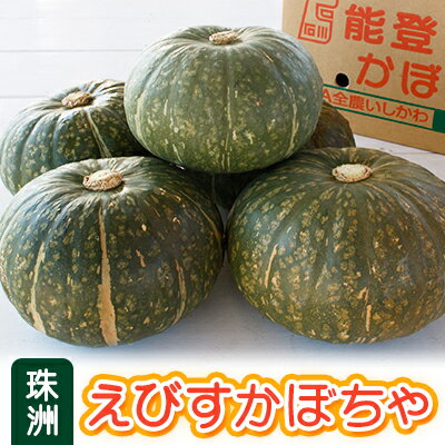 【ふるさと納税】珠洲えびすかぼちゃ 10kg×1箱　【 野菜