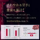 石川県加賀市の画像3