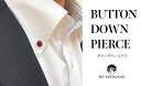 【ふるさと納税】ボタンダウンピアス Lady Bird 赤 てんとう虫 白蝶貝 漆 蒔絵 ドレスピアス ピンブローチ タイタック アクセサリー 伝統工芸 工芸品 うるしアート 能登半島地震復興支援 F6P-0353
