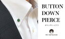 【ふるさと納税】ボタンダウンピアス Lady Bird 緑 てんとう虫 白蝶貝 漆 蒔絵 ドレスピアス ピンブローチ タイタック アクセサリー 伝統工芸 工芸品...