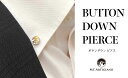 【ふるさと納税】ボタンダウンピアス Skull F ドクロ 白蝶貝 漆 蒔絵 ドレスピアス ピンブローチ タイタック アクセサリー 伝統工芸 工芸品うるしアート能登半島地震復興支援 F6P-0380(4)