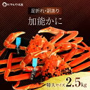 【ふるさと納税】\時期が選べる/【先行予約】【冷蔵発送】石川県産 加能かに ズワイガニ ( 産地証明タグ付 ) 訳あり 足折れ 特大サイズ 2~3匹 合計2.5kg ※茹で上げ前重量 復興 震災 コロナ【能登半島地震復興支援】 北陸新幹線 F6P-0694