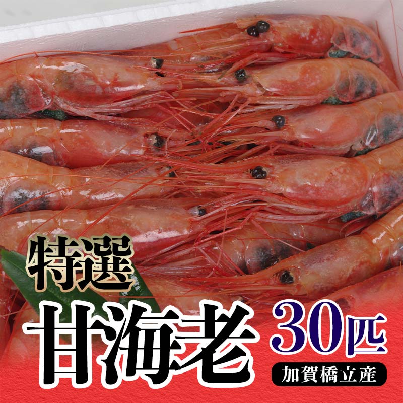 【ふるさと納税】【特選】甘海老(30匹)加賀橋立産 F6P-0703