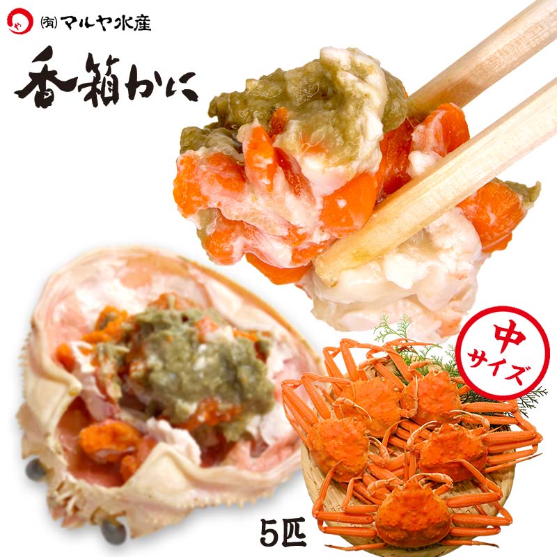 【ふるさと納税】レビューキャンペーン 産地直送 香箱かに 中サイズ 5匹 詰合せ ズワイガニ ずわいがに ずわい蟹の雌 先行予約 予約 せいこ 蟹 かに グルメ 海産物 海の幸 食品 能登半島地震復興支援 F6P-1892のサムネイル