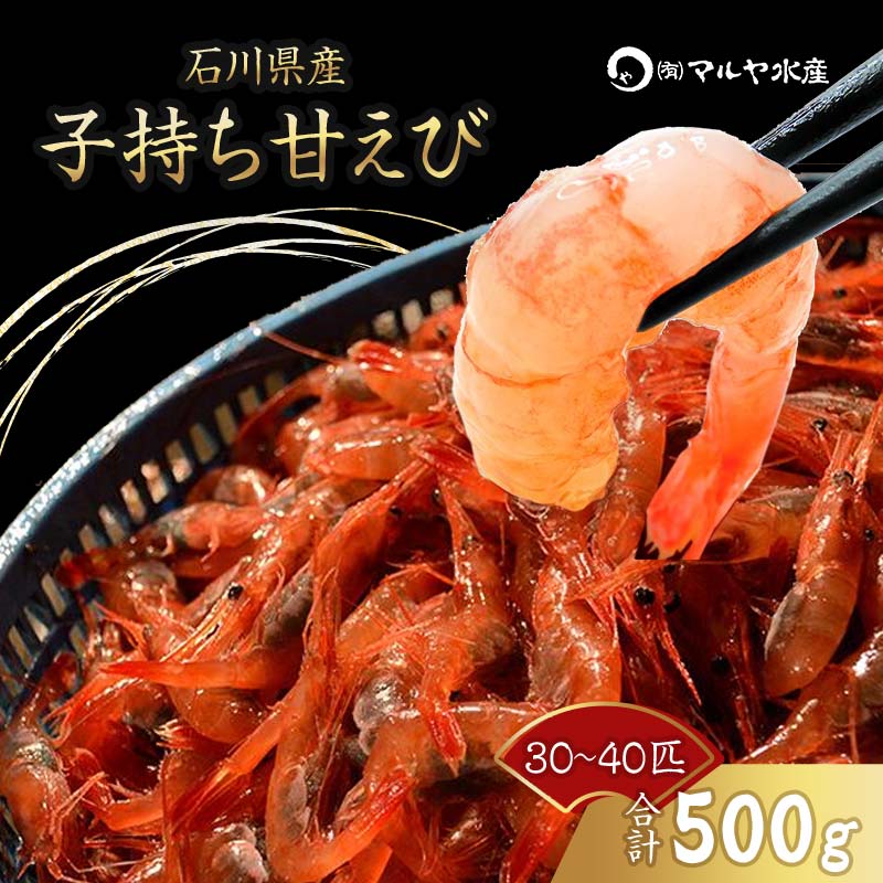 【ふるさと納税】 子持ち甘えび お刺身用 500g 30〜40匹 産地直送 子持ち 甘えび 甘エビ 獲れたて 海老 エビ えび 刺身海産物 肴 国産 食品 能登半島地震復興支援 F6P-0971のサムネイル