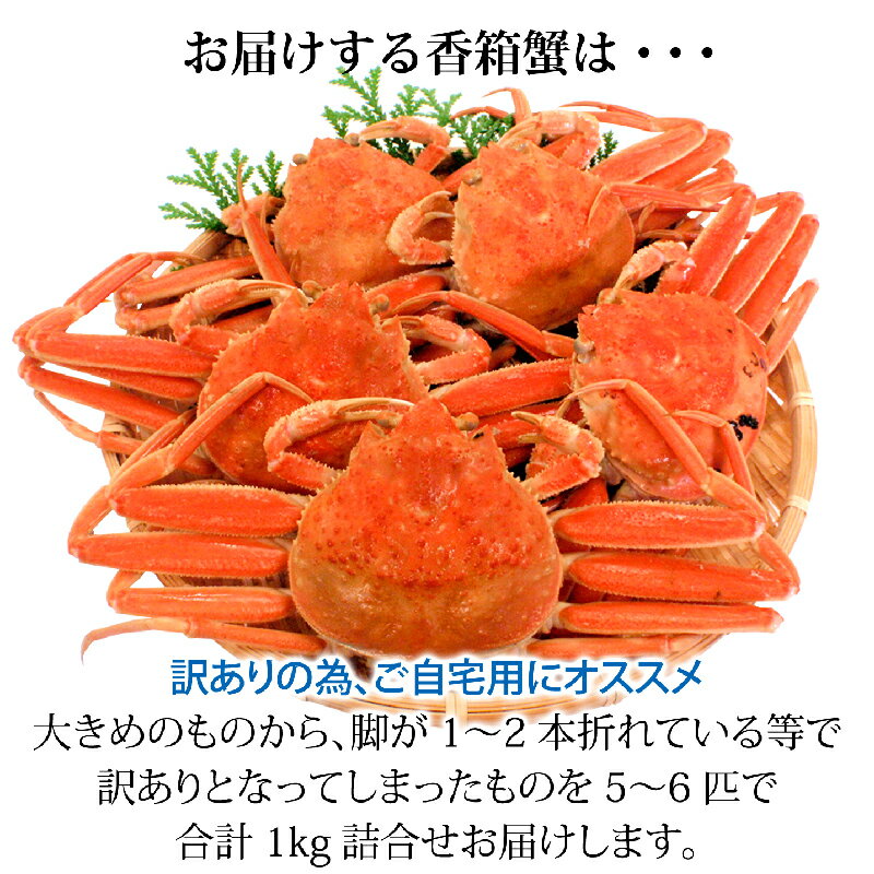 【ふるさと納税】【時期が選べる】【冷蔵発送】石川県産 香箱蟹 せいこ 訳あり 大きめ 1kg詰合せ (5～6匹) 浜茹で 産地直送 F6P-1658