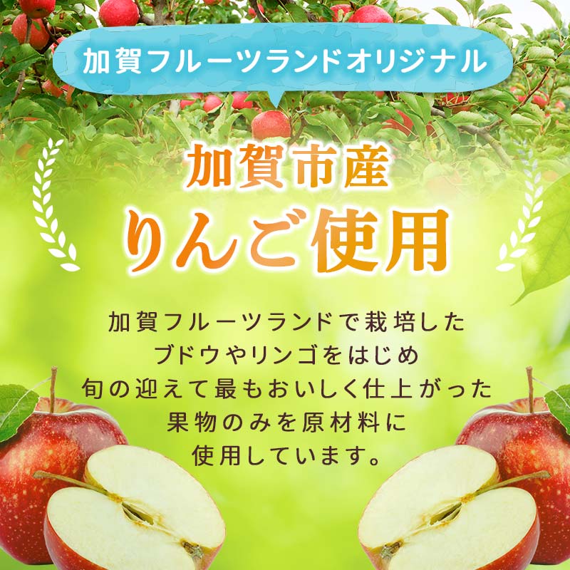 【ふるさと納税】オリジナルりんごのスパークリングワイン 750ml×2本 F6P-1819