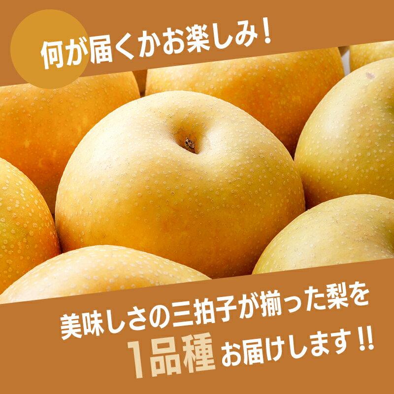 【ふるさと納税】【先行予約】【訳あり】梨 福袋 5kg 旬の品種を1品種お届け（2025年8月下旬以降順次発送） 冷蔵配送 くだもの 果物 フルーツ ご当地 食品 幸水 豊水 あきづき 新高 新興 愛宕 F6P-1994
