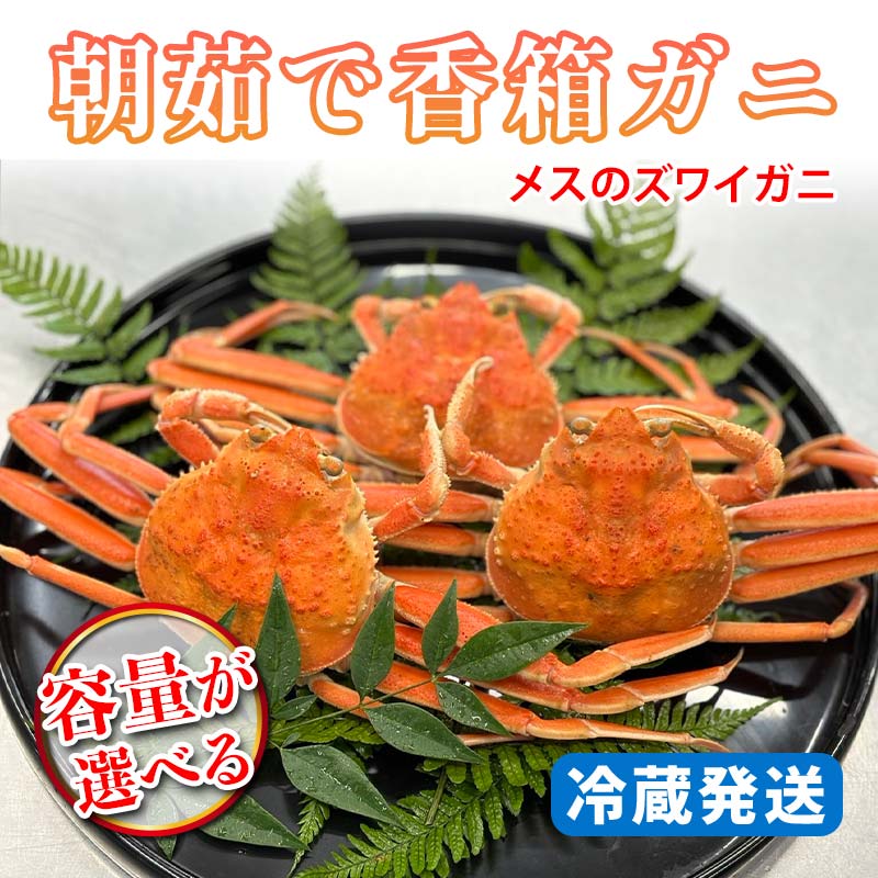 ＼容量が選べる/[先行予約][冷蔵発送]朝茹で香箱ガニ メスのズワイガニ 姿2〜10杯 2024年11月上旬以降発送 朝茹で カニ かに 蟹 姿 香箱蟹 香箱がに こうばこがに 茹で ボイル ギフト グルメ 海の幸 海産物 食品 F6P-2168var