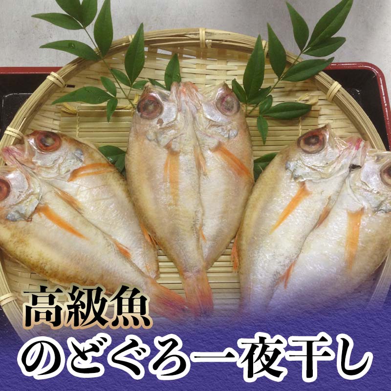 高級魚のどぐろ一夜干し 約120g〜150g ×3 一夜干し あかむつ類 のどぐろ ノドグロ 魚 グルメ 海産物 海の幸 干物 おつまみ 肴 食品 能登半島地震復興支援