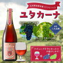 【ふるさと納税】飲みやすいロゼスパークリングワイン ユタカーナ(750ml) 赤白それぞれ世界三大品種のブドウ/ピノ・ノワール/ソーヴィニヨン・ブラン(各1房)セット スパークリング ぶどう ブドウ 葡萄 ワイン 酒 アルコール アルコール飲料 F6P-2526