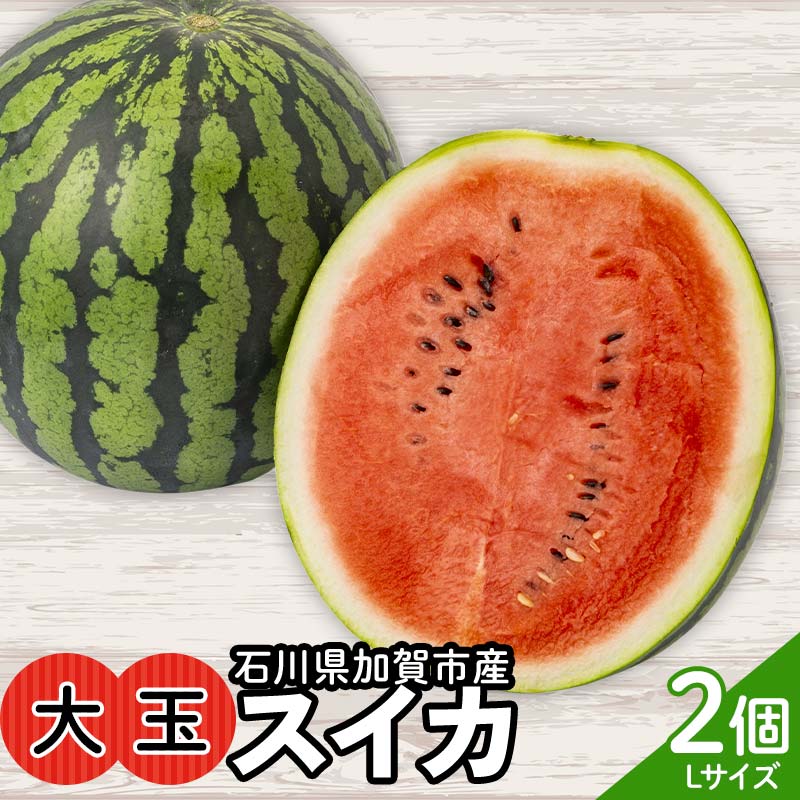[先行予約]浜井さんの甘い!大玉スイカ 石川県加賀市産 スイカ 西瓜 デザート フルーツ 果物